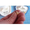 5 Day Teeth FX Making Course